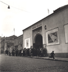 Cinema