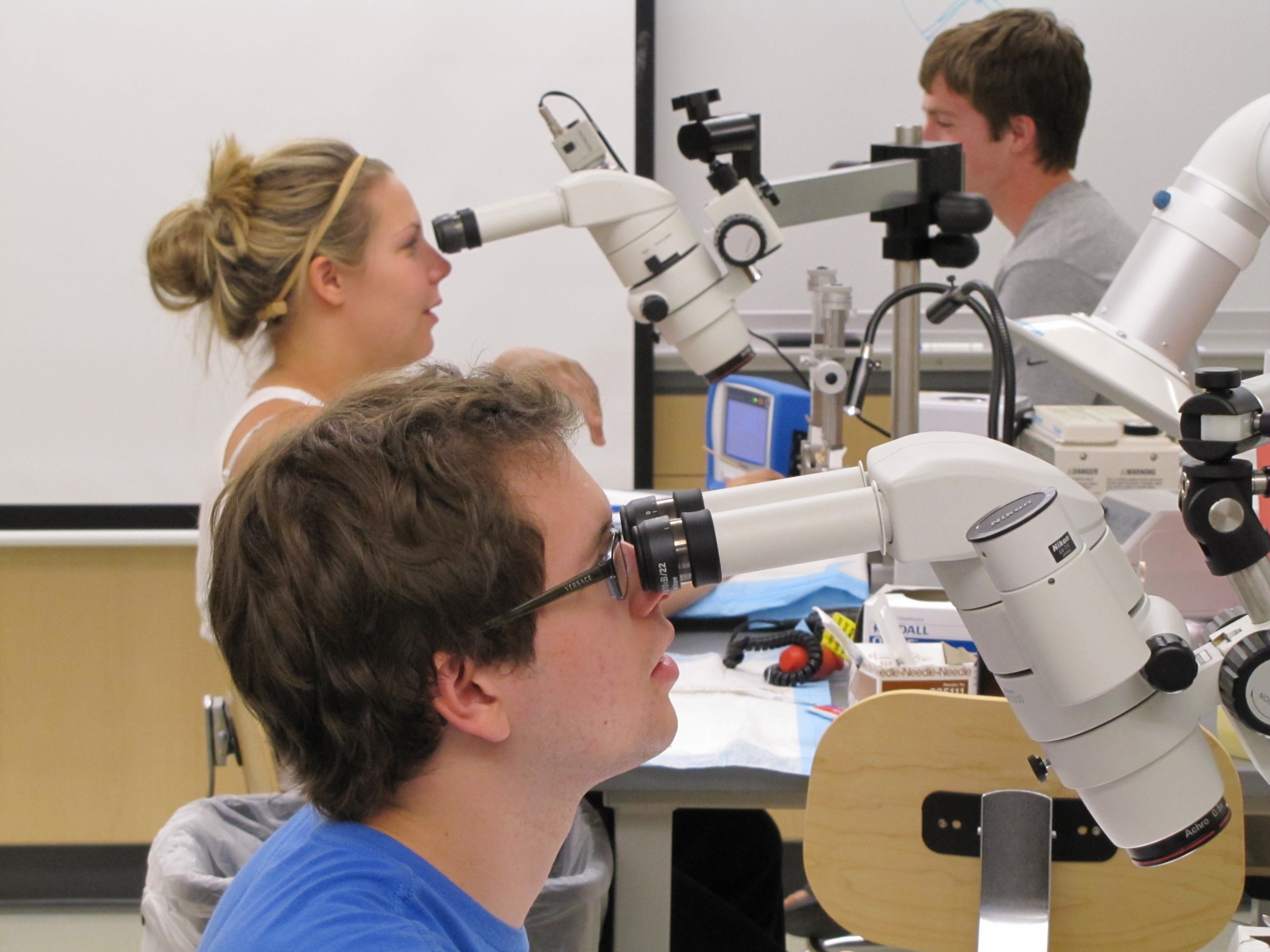 Neuroscience students using stereo dissecting microscopes