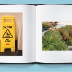 Photo Book: plants on hillside