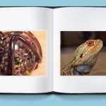 Photo Book: iguna