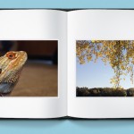 Photo book: tree branches