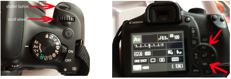 canon camera color settings