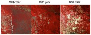 This image depicts geographic data, vegetation density,across three different years, with density decreasing over time.