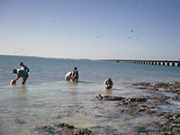 student by the bridge collecting specimens