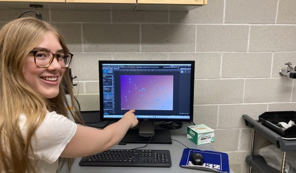 Lucienne Bina Stero microscope
