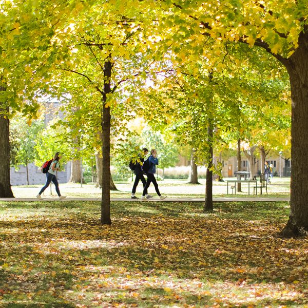 Fall_2017-84