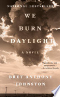 Book cover for We burn daylight : a novel 