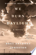 Book cover for We burn daylight : a novel 