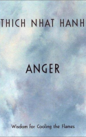 Book cover for Anger : wisdom for cooling the flames 