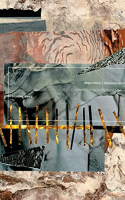 Book cover for Deposition  dispossession : climate change in the Sundarbans 