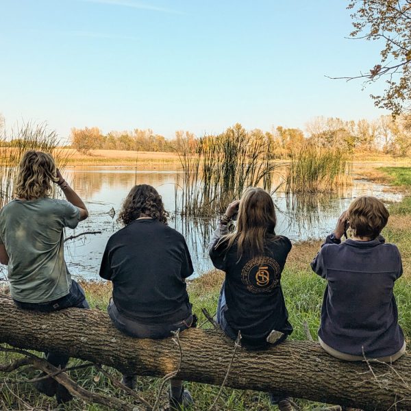NaturalLands