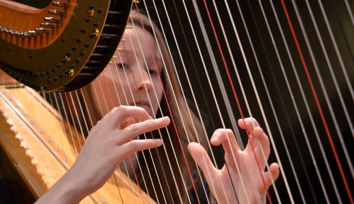 harp f