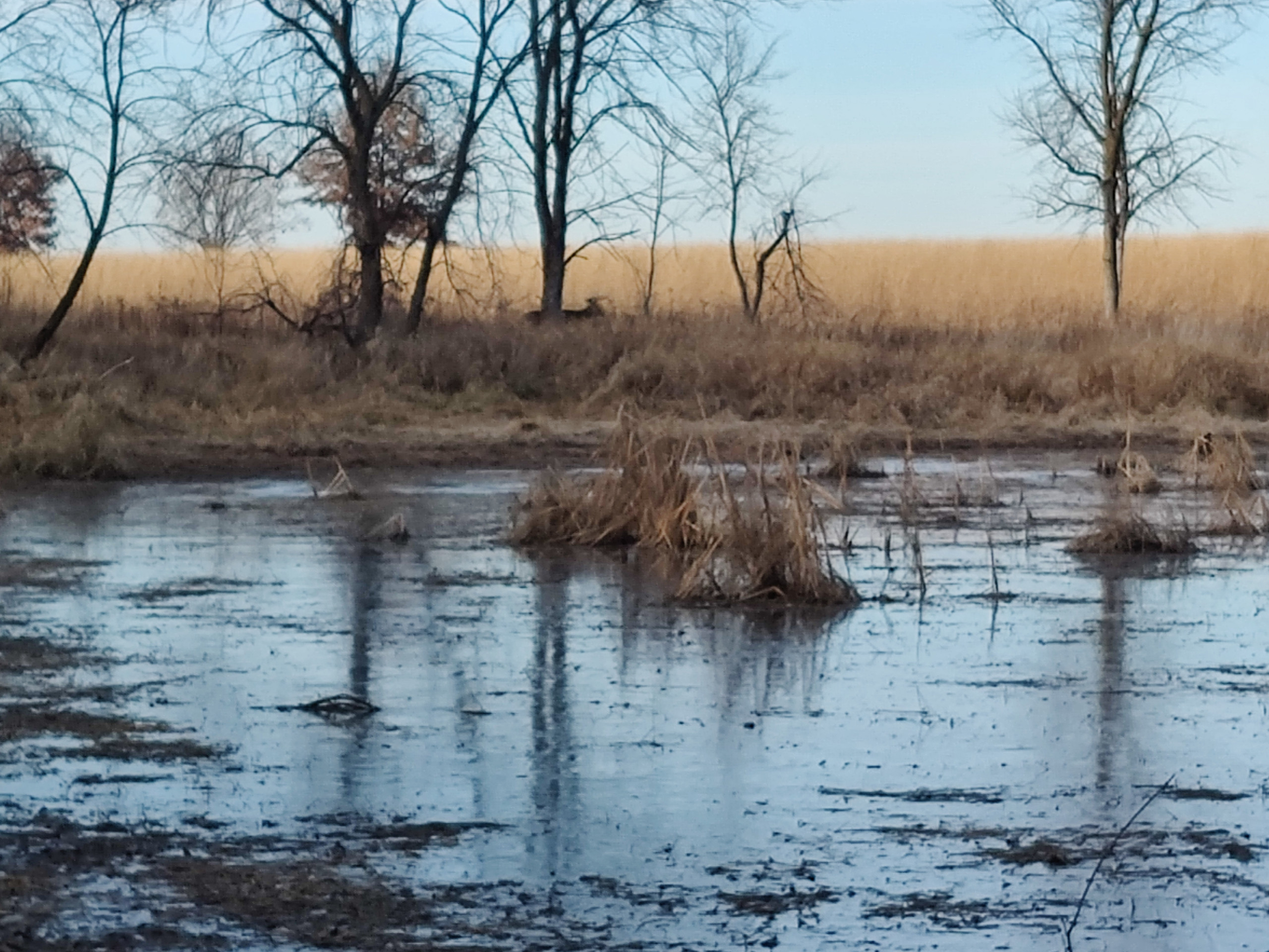 In the Shoes of a Student Naturalist – Natural Lands