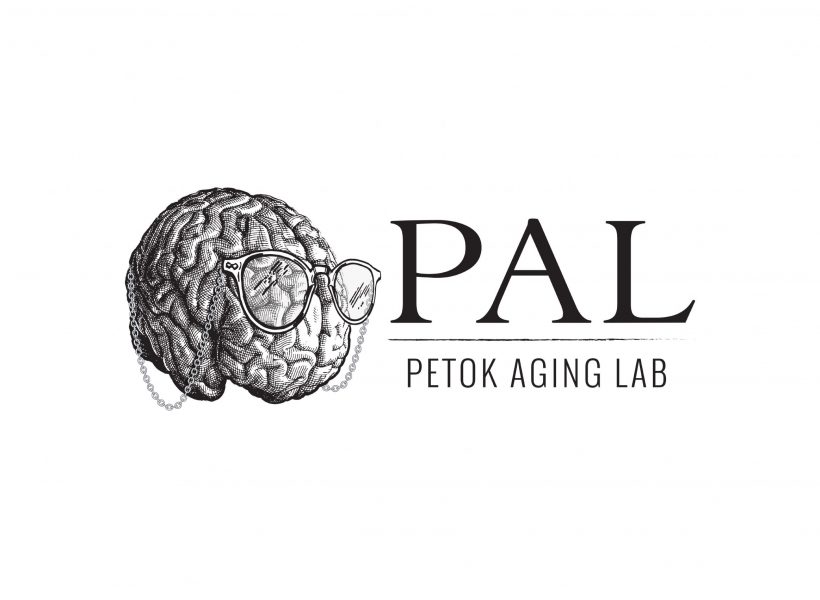 Petok
