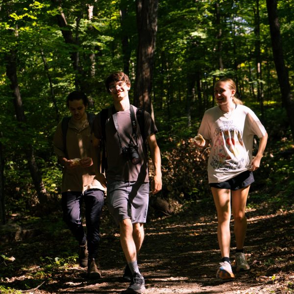 I state hike trip