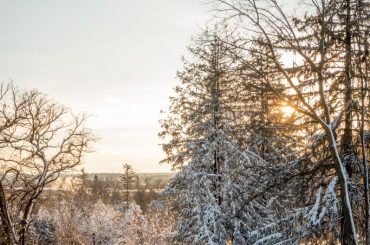 snow_016-683×1024
