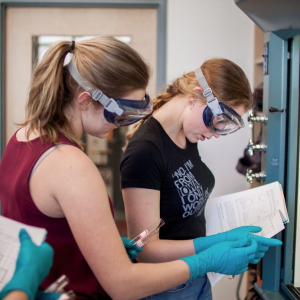 Students working together in the lab