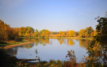 wetlands