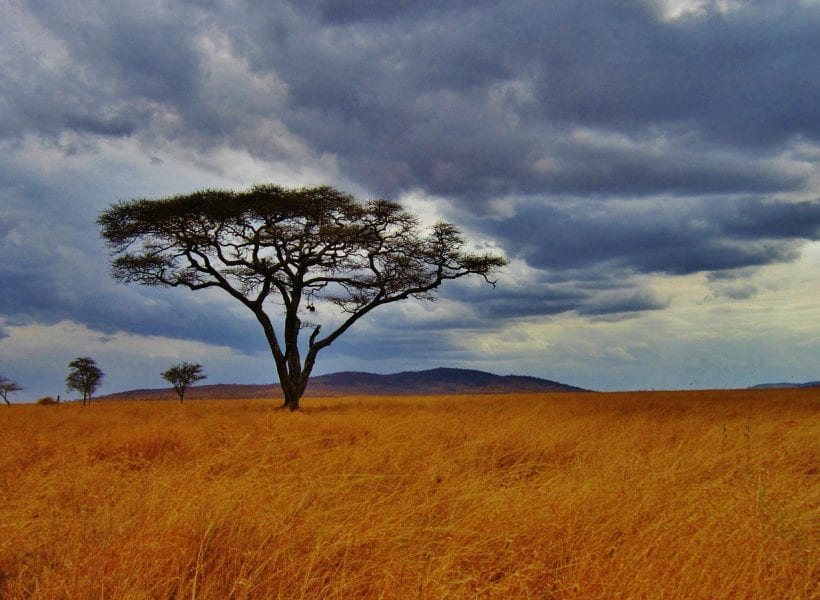 Tanzania