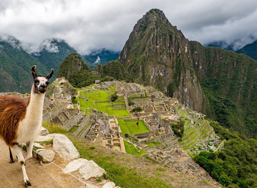 Peru llama machu picchu