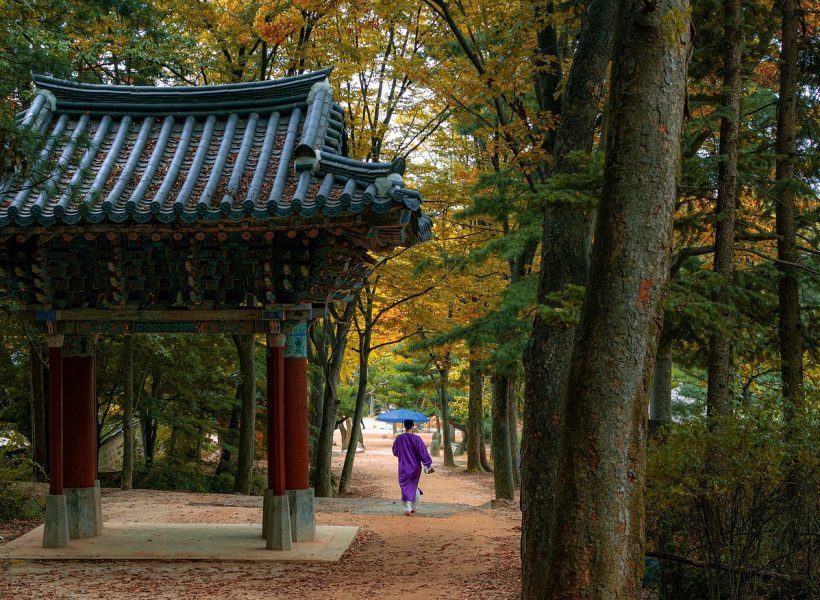 Asia South Korea Village Pagoda