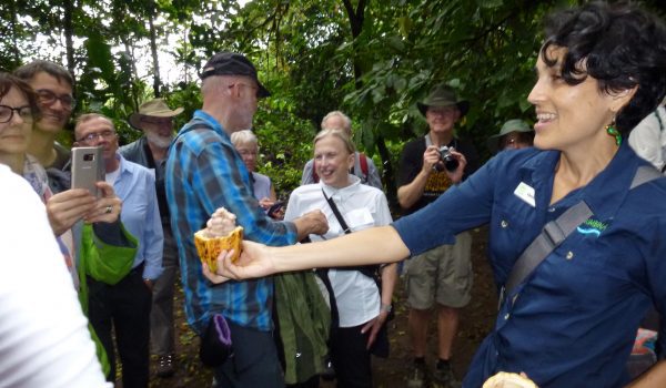 America Costa Rica trying cocoa beans