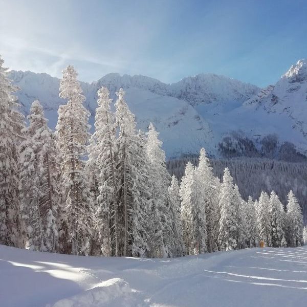 Europe Austria Tirol winter mountains snowy trees smaller